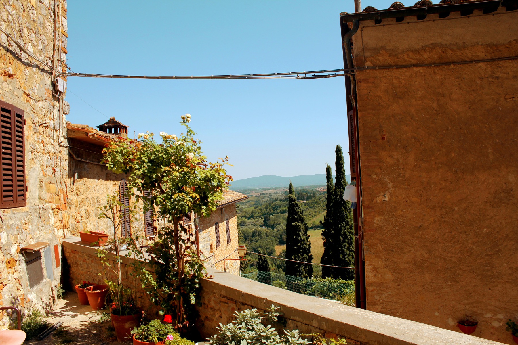Val d'Orcia cypress road